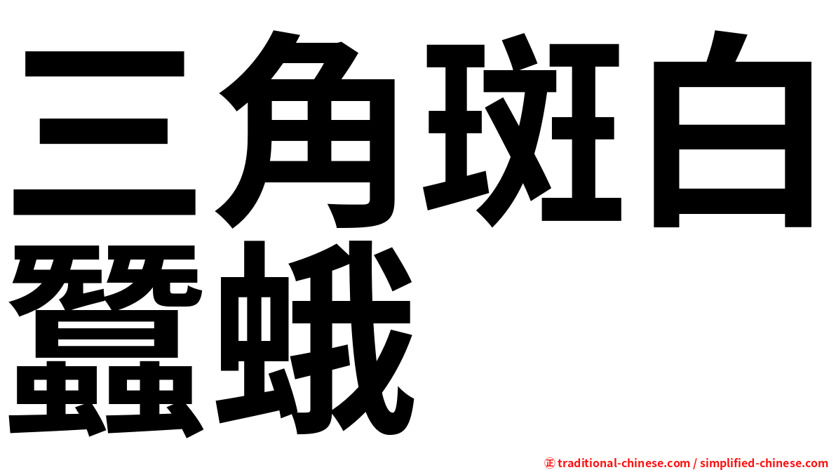 三角斑白蠶蛾