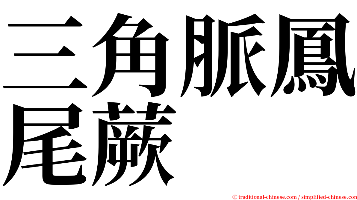 三角脈鳳尾蕨 serif font
