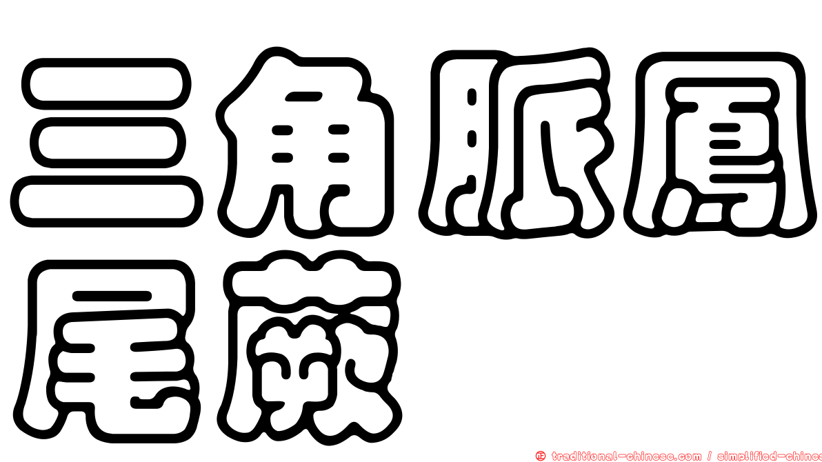 三角脈鳳尾蕨