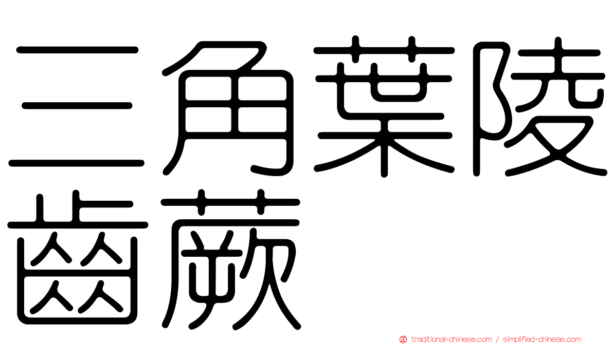 三角葉陵齒蕨