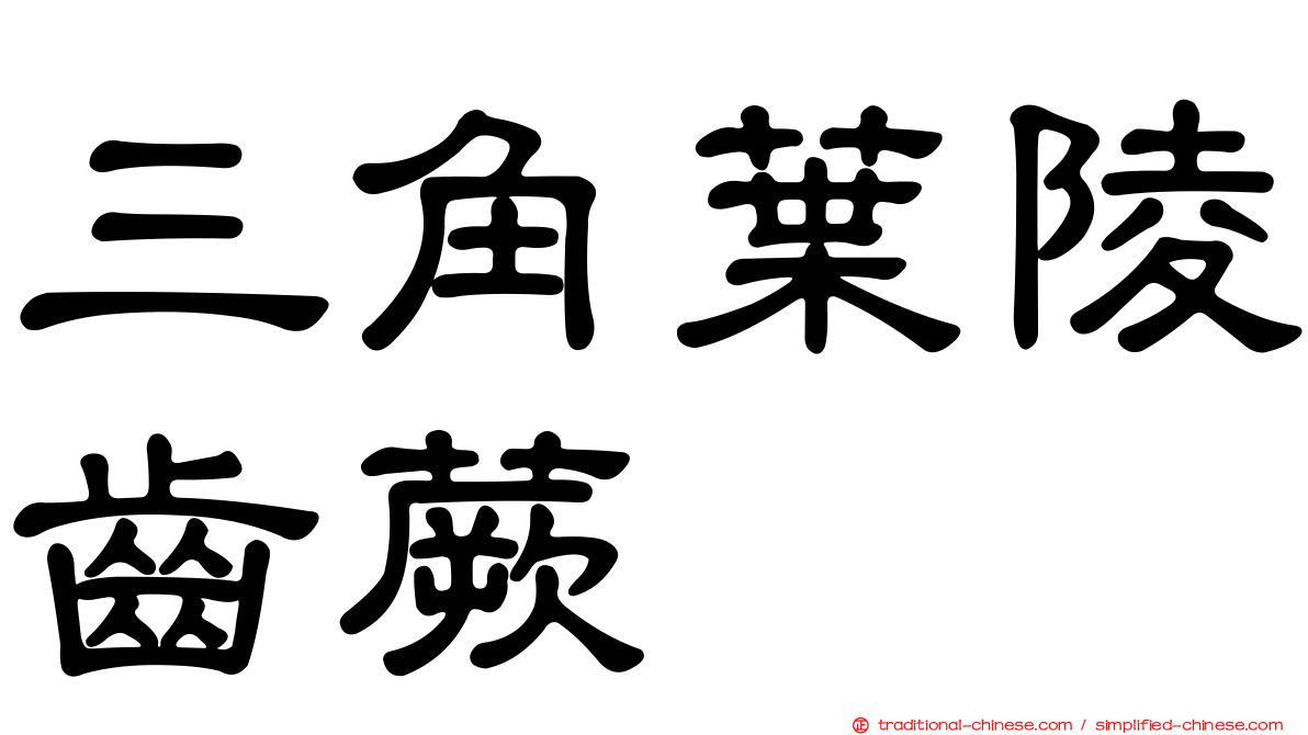 三角葉陵齒蕨