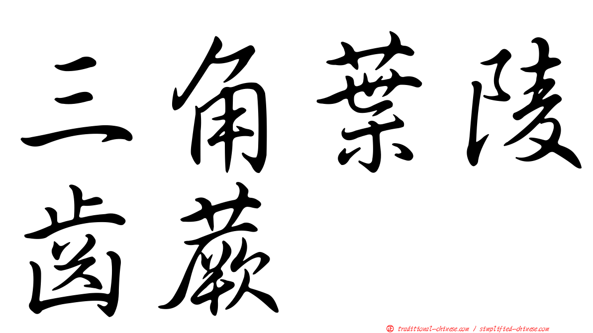 三角葉陵齒蕨