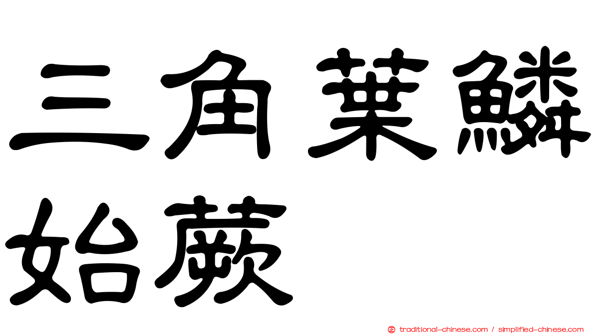 三角葉鱗始蕨