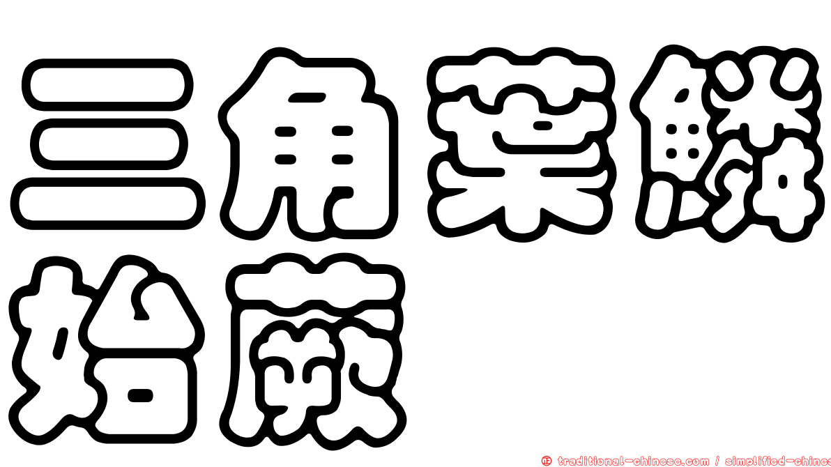 三角葉鱗始蕨