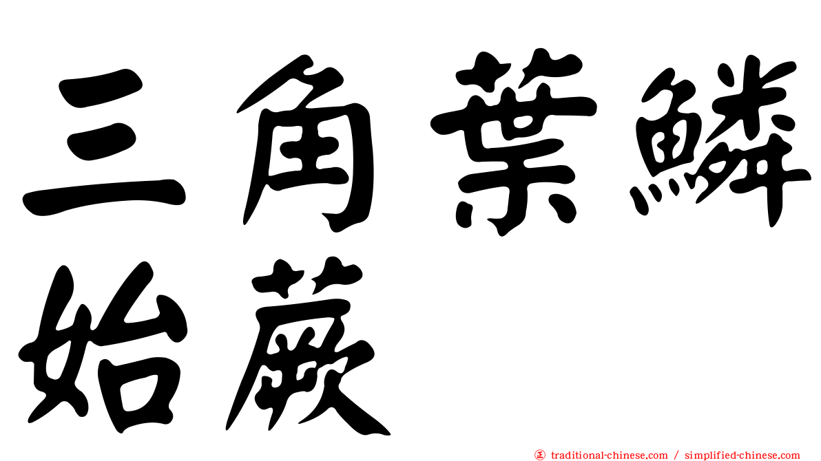 三角葉鱗始蕨