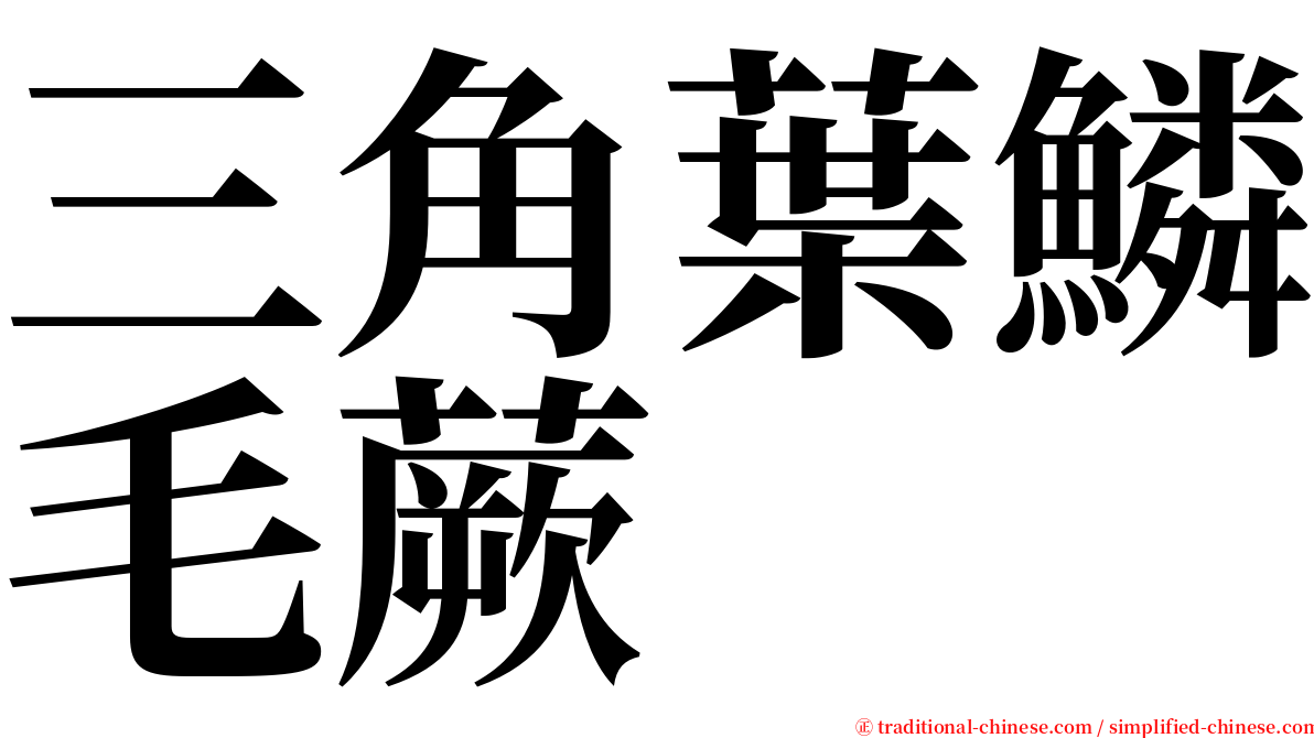三角葉鱗毛蕨 serif font