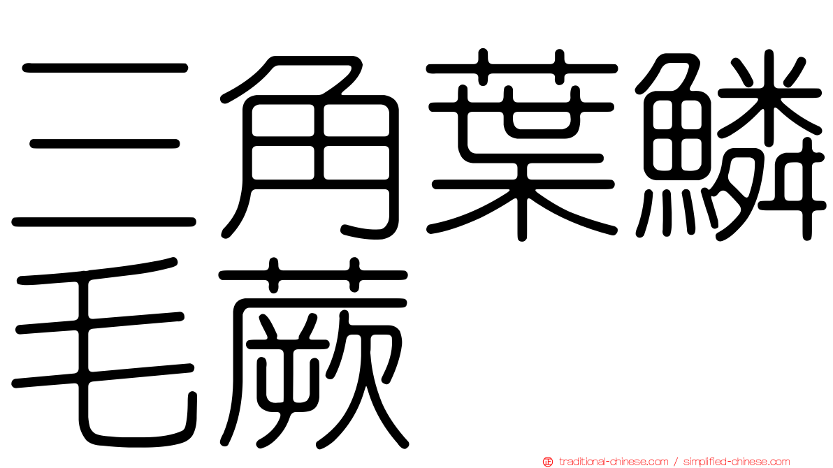 三角葉鱗毛蕨