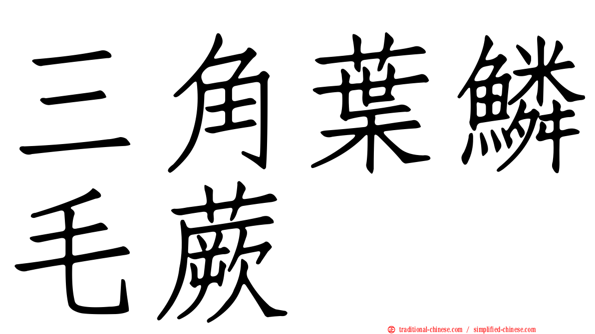 三角葉鱗毛蕨