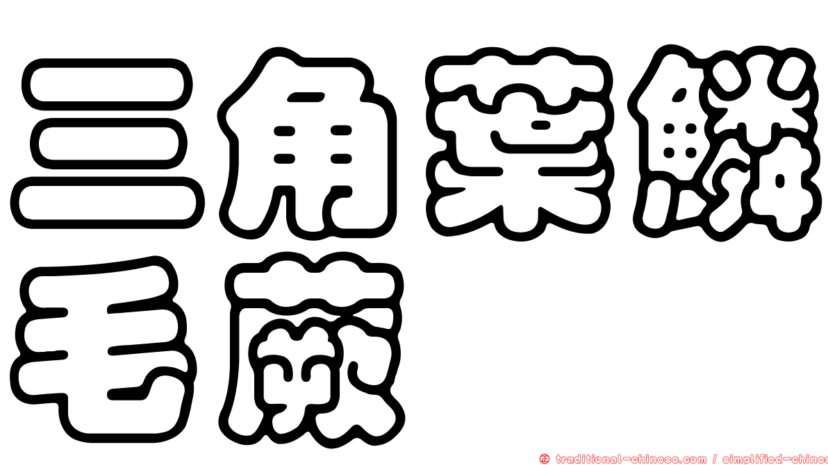 三角葉鱗毛蕨