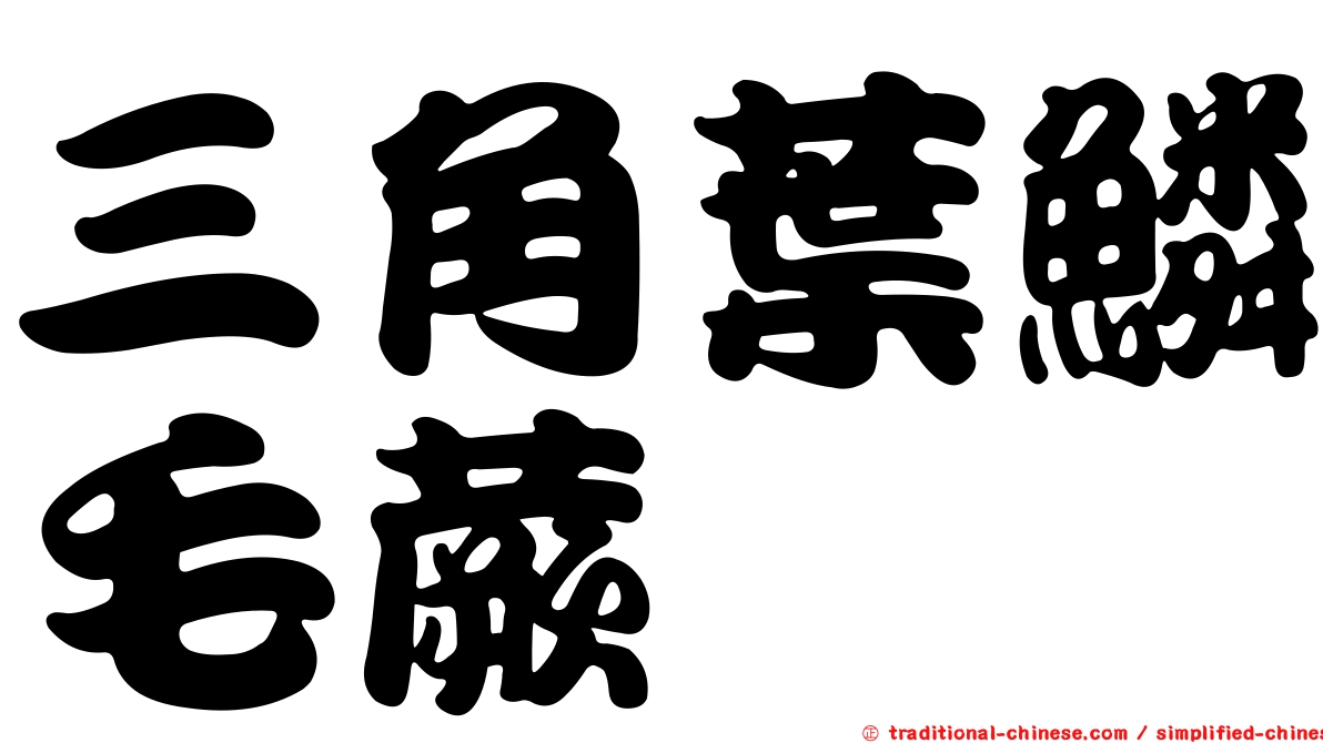 三角葉鱗毛蕨