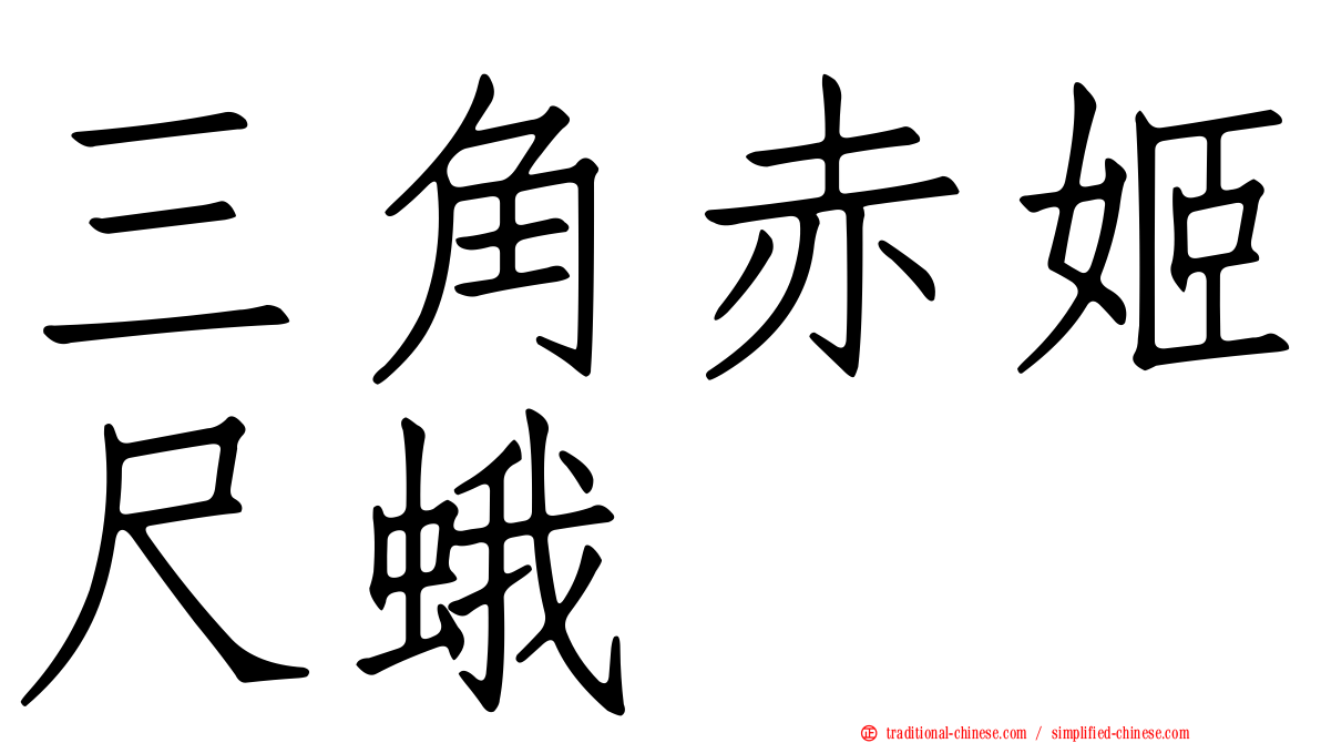 三角赤姬尺蛾