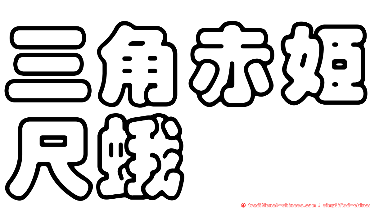 三角赤姬尺蛾