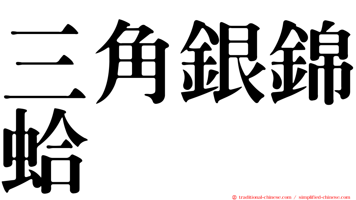 三角銀錦蛤