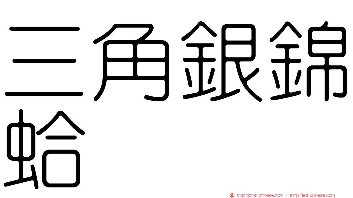 三角銀錦蛤