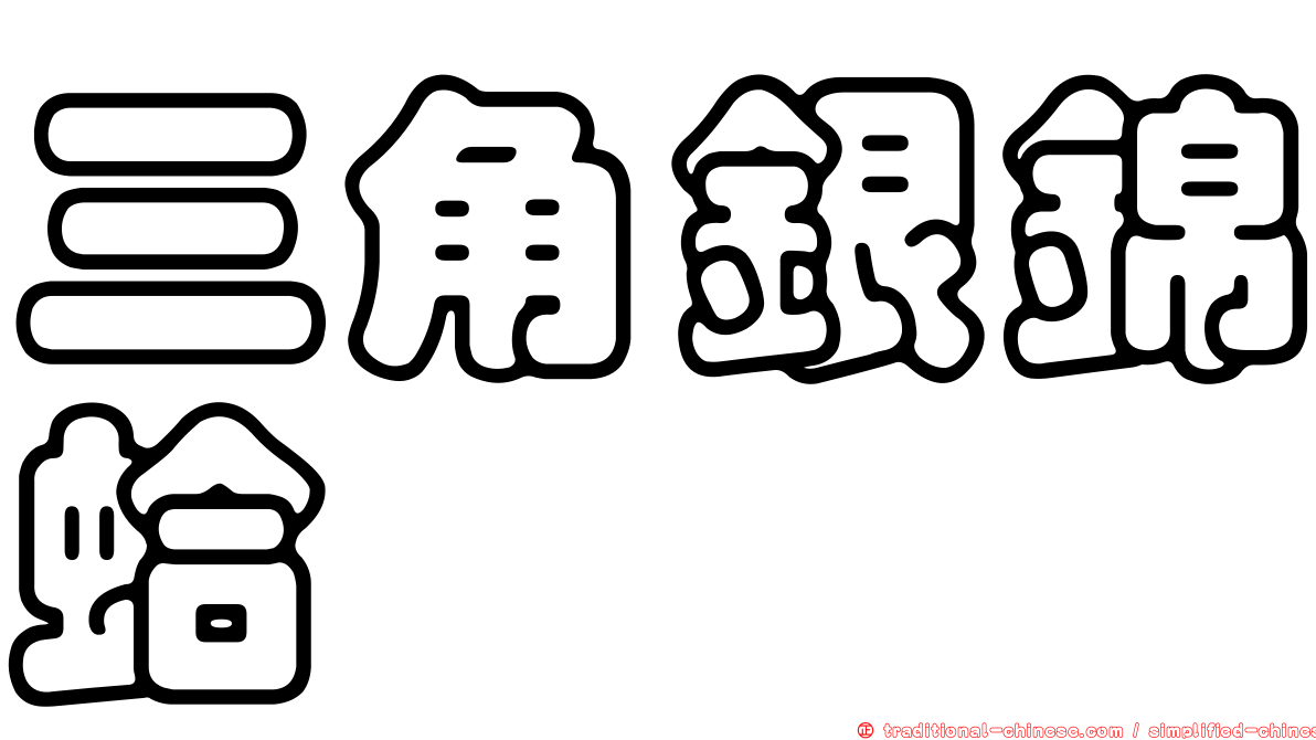 三角銀錦蛤