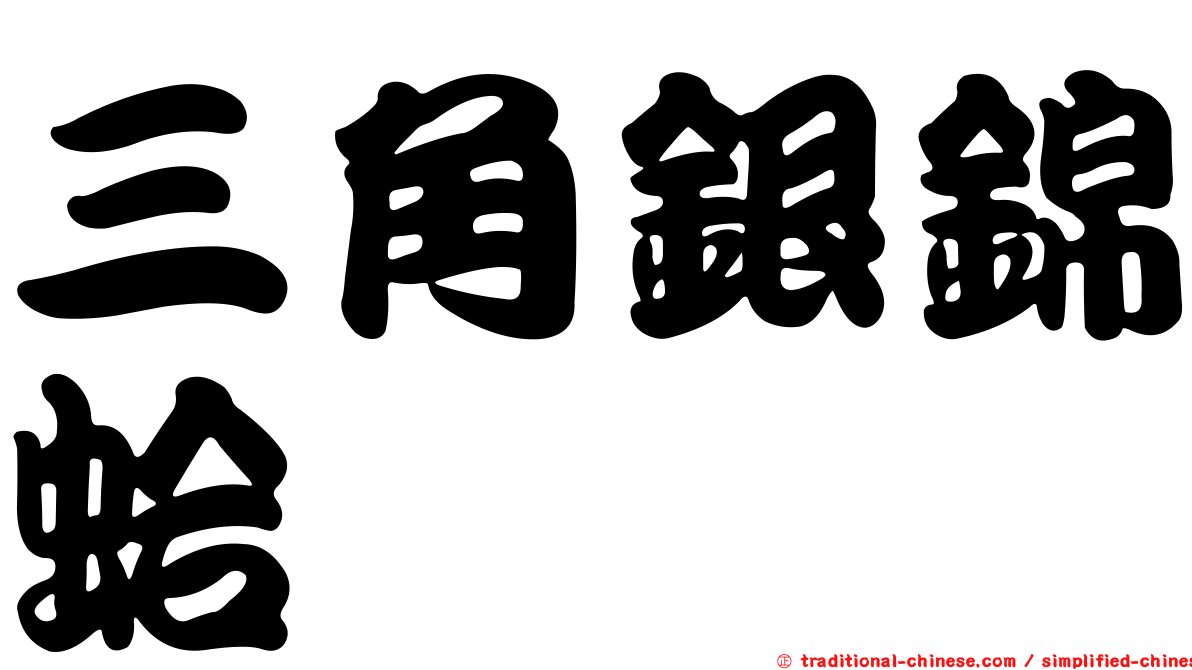 三角銀錦蛤