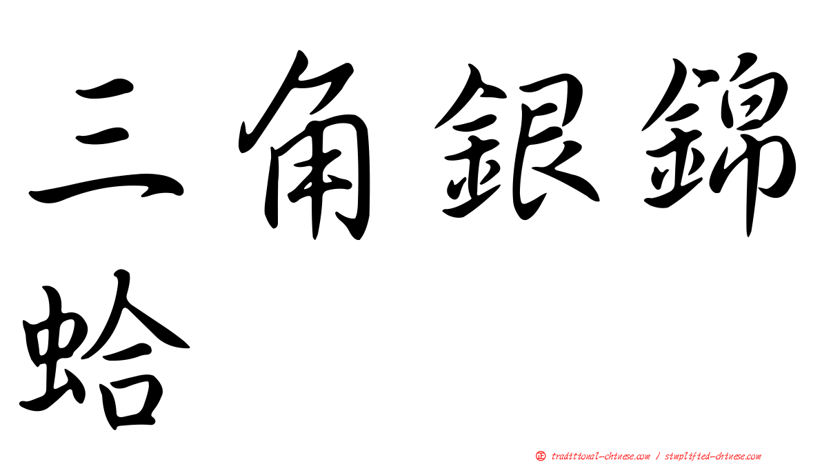 三角銀錦蛤