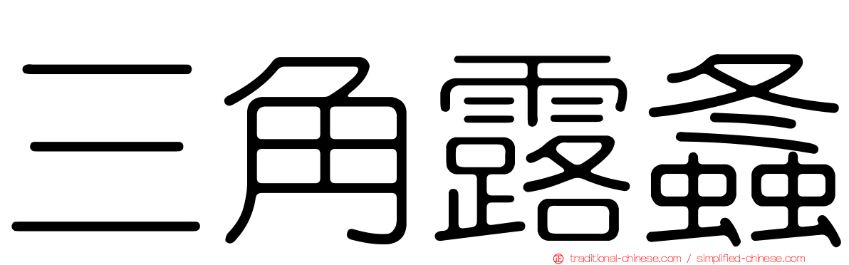 三角露螽