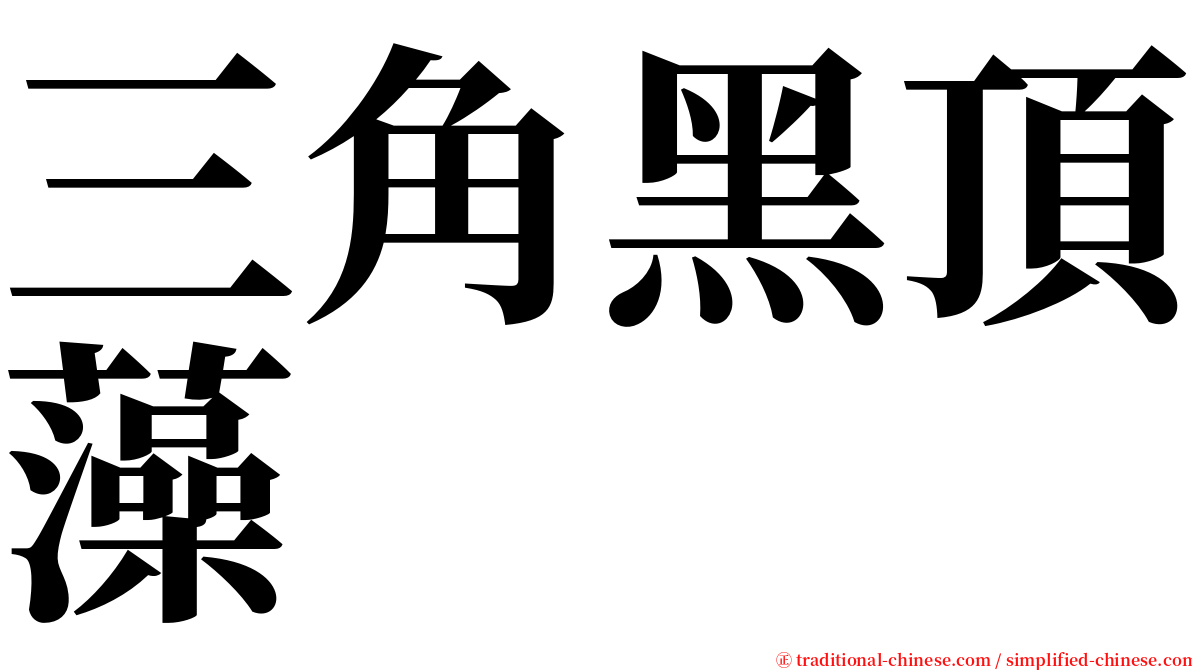 三角黑頂藻 serif font