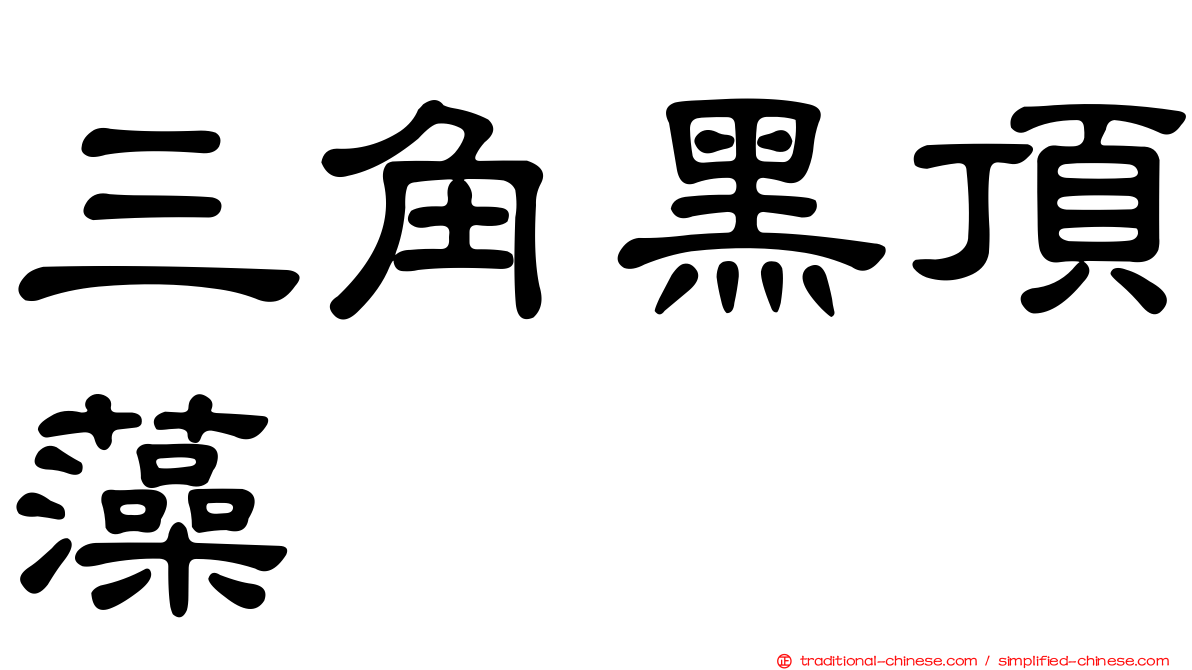 三角黑頂藻
