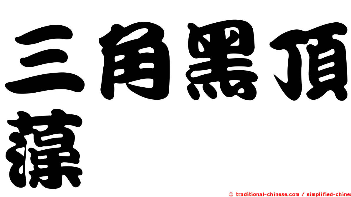 三角黑頂藻