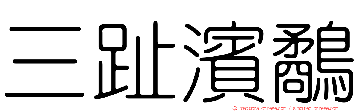 三趾濱鷸