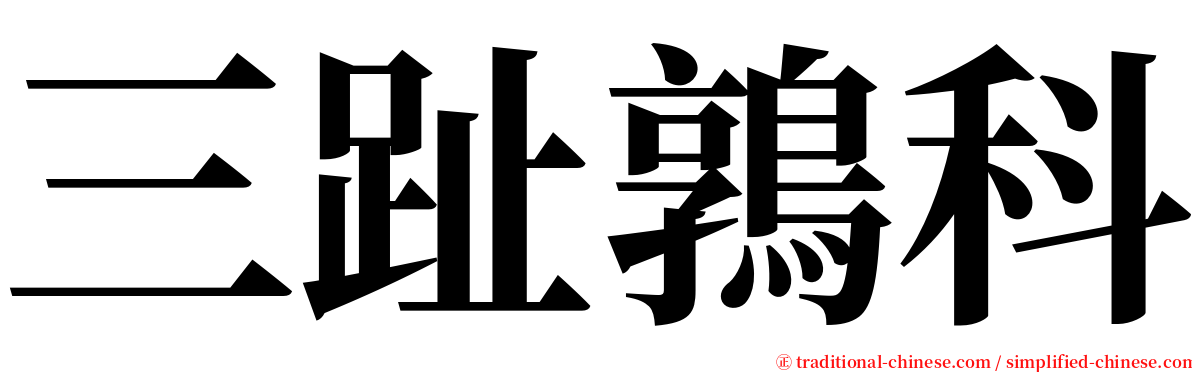 三趾鶉科 serif font
