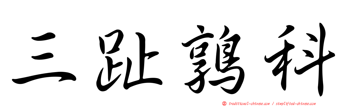 三趾鶉科