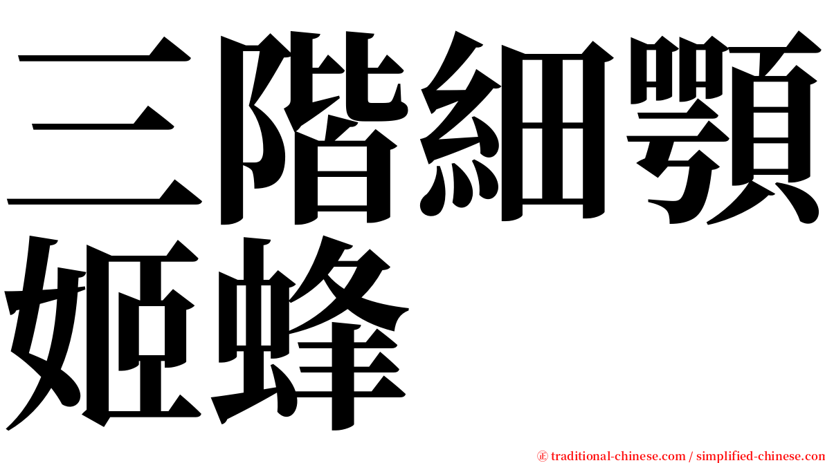 三階細顎姬蜂 serif font
