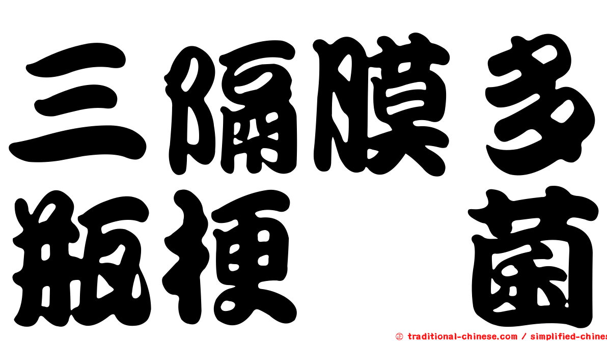 三隔膜多瓶梗孢菌