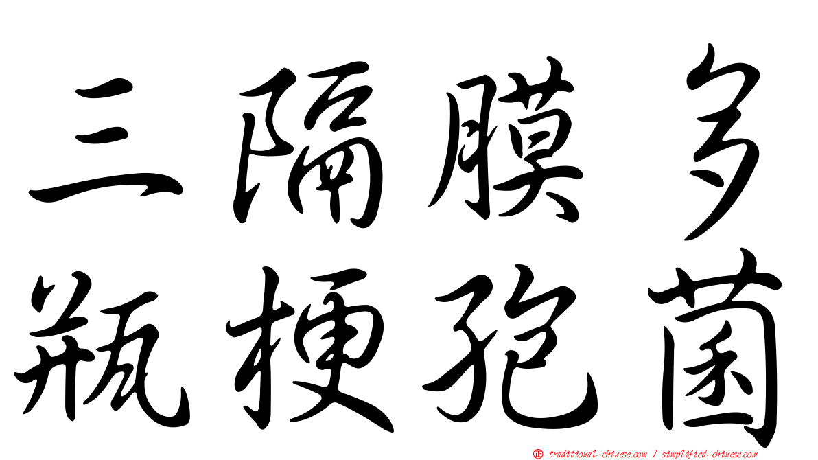 三隔膜多瓶梗孢菌