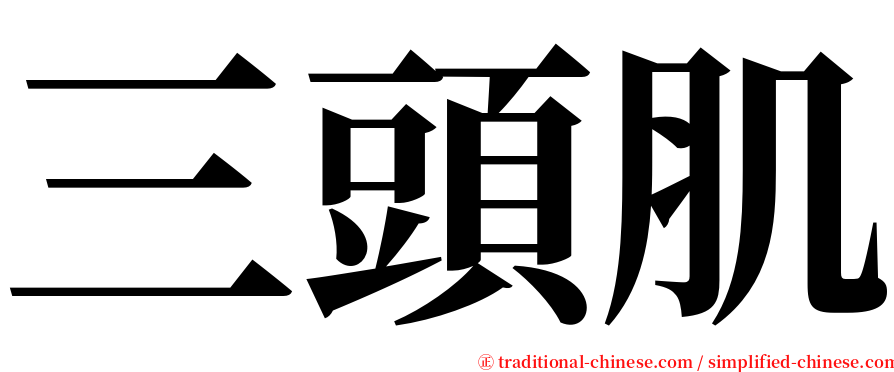 三頭肌 serif font