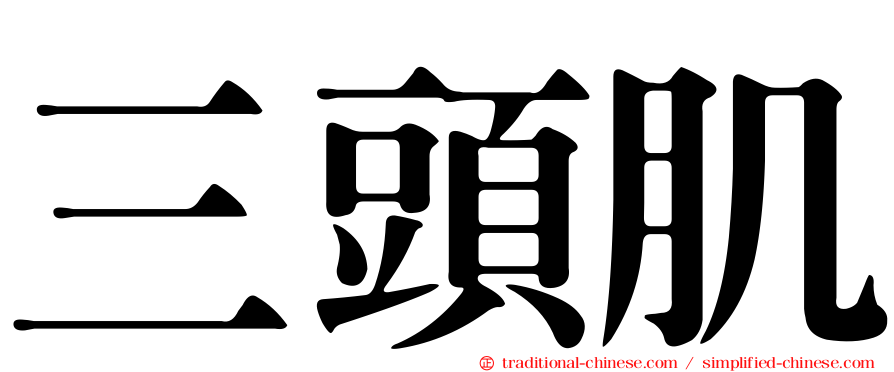 三頭肌