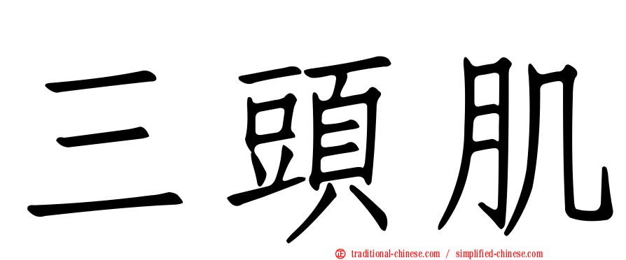 三頭肌