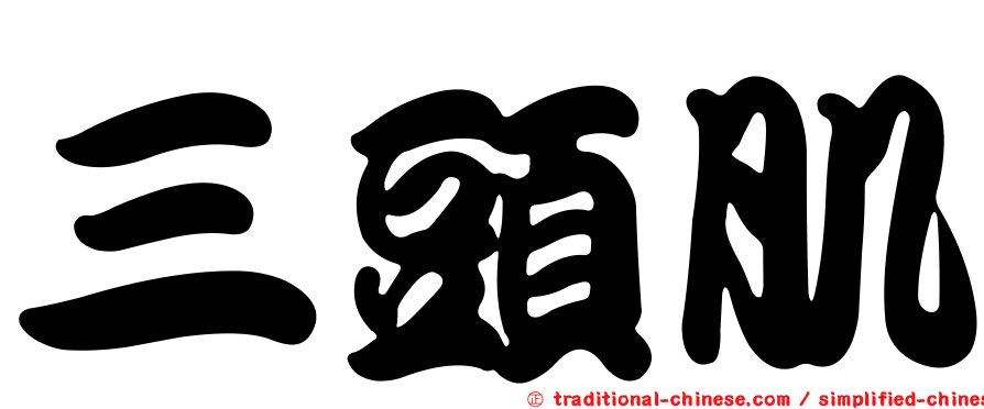 三頭肌