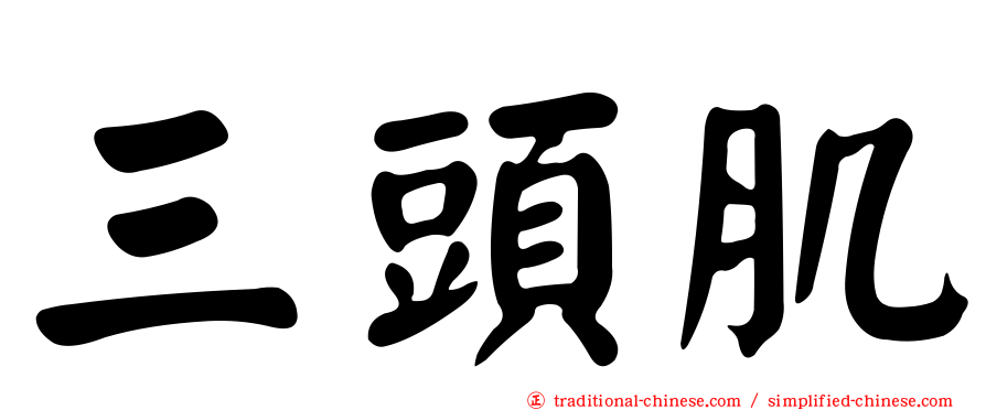 三頭肌