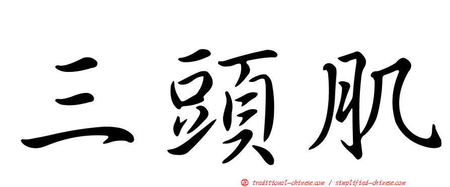 三頭肌