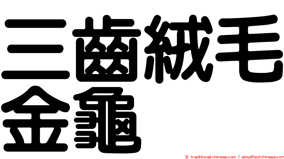 三齒絨毛金龜