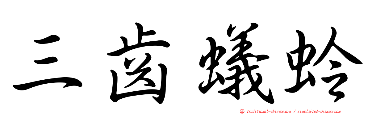 三齒蟻蛉