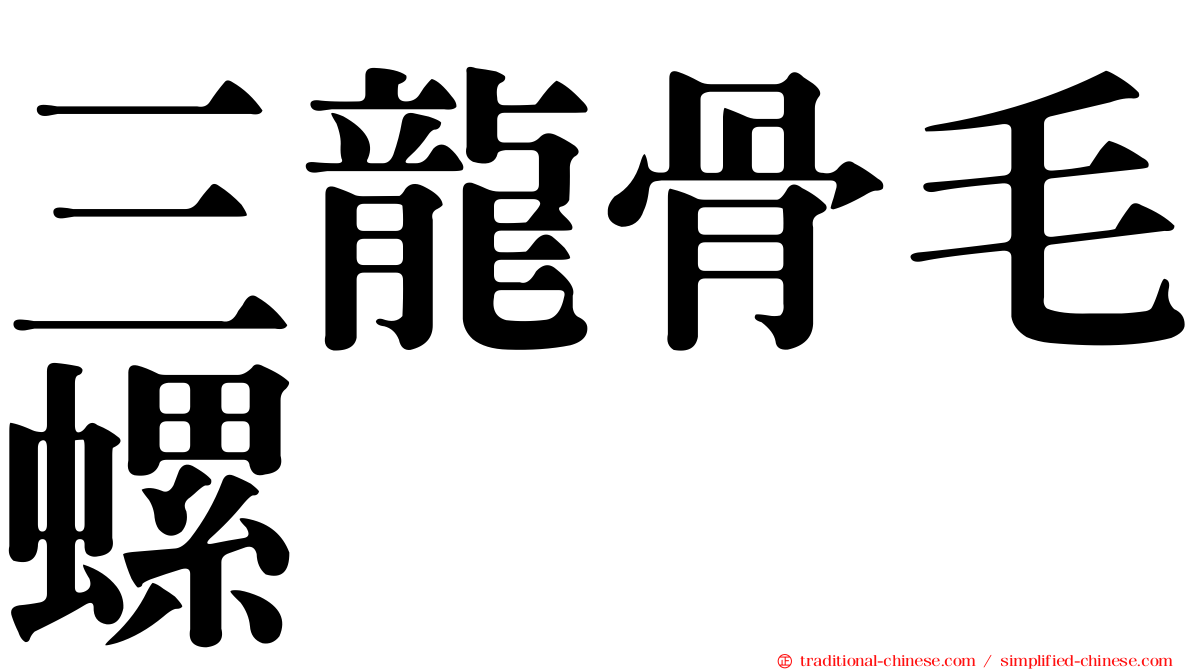 三龍骨毛螺