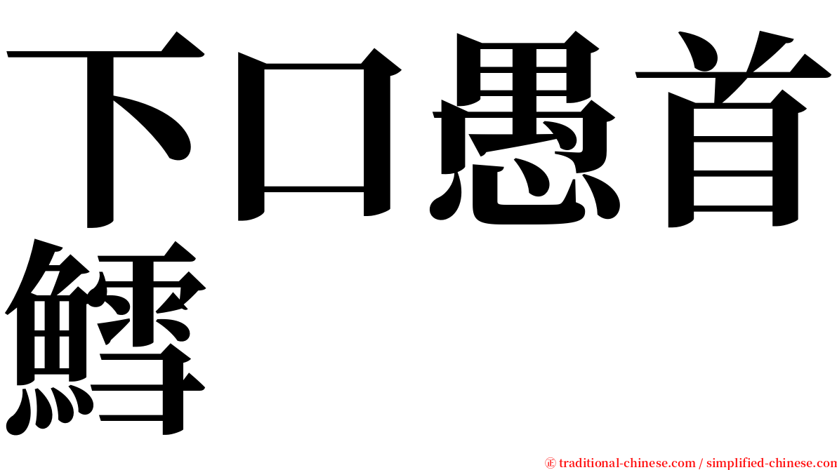 下口愚首鱈 serif font