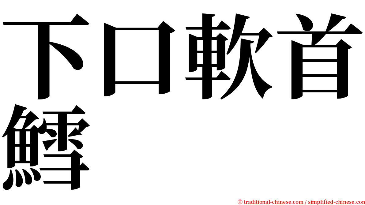 下口軟首鱈 serif font