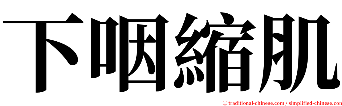 下咽縮肌 serif font