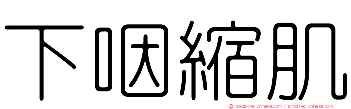 下咽縮肌