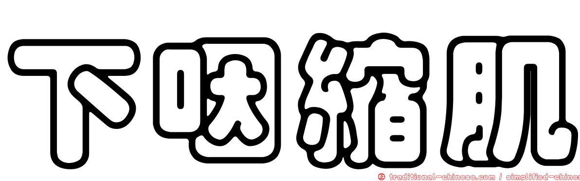 下咽縮肌