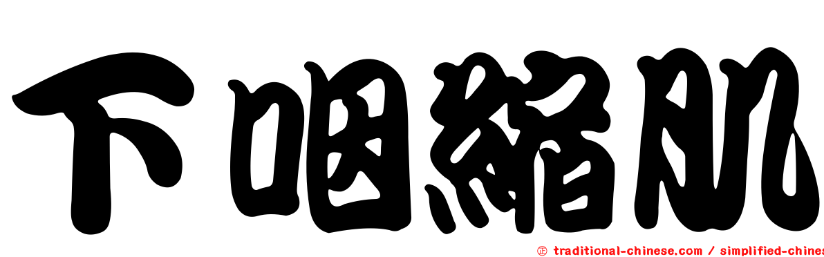 下咽縮肌