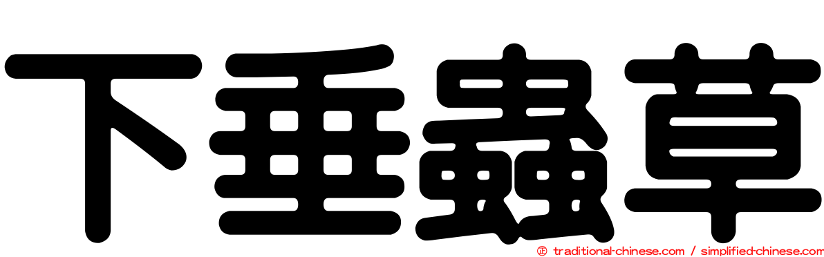 下垂蟲草