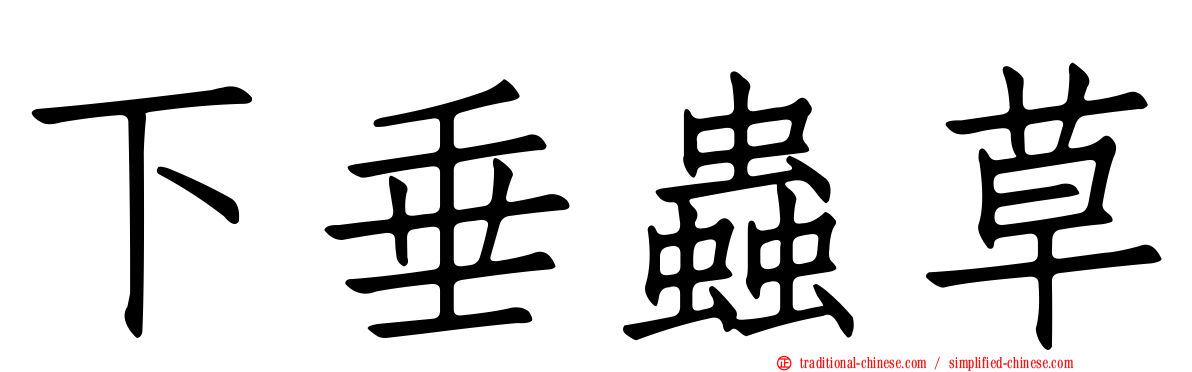 下垂蟲草