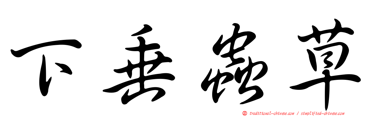 下垂蟲草