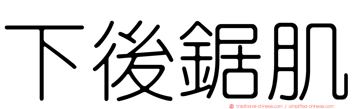 下後鋸肌